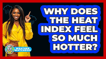 Why Does The Heat Index Feel So Much Hotter? - Weather Watchdog