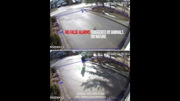 Artificial Intelligence cameras with smart filter smarter than thieves