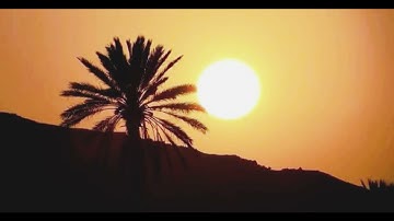 من سورة يوسف ،،،