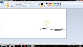 Basilosaurus vs brygmophyseter
