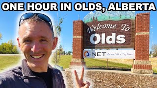 I Found Where The True Old People Of Olds Spend Their Time