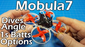 Mobula 7 - Detail Dive