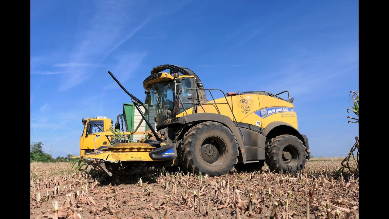Maishäckseln 2022/ New Holland FR 920/ Ginaf Agrotrucks/ John Deere 6310R/ Teil 1