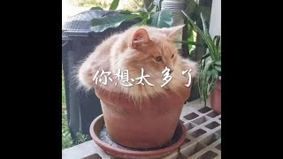 201508 你想太多了31179