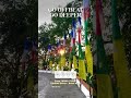 Offbeat Darjeeling Tour | Hidden Gems & Homestays | DO TRIPS