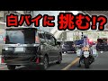 白バイに挑む、DQNヴォクシー⁉️ 取り締まりの瞬間‼️