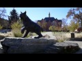 Montana State University Visit Video