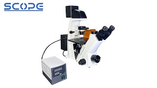 BDS500-FL Inverted Fluorescence Microscope Laboratory Instrument