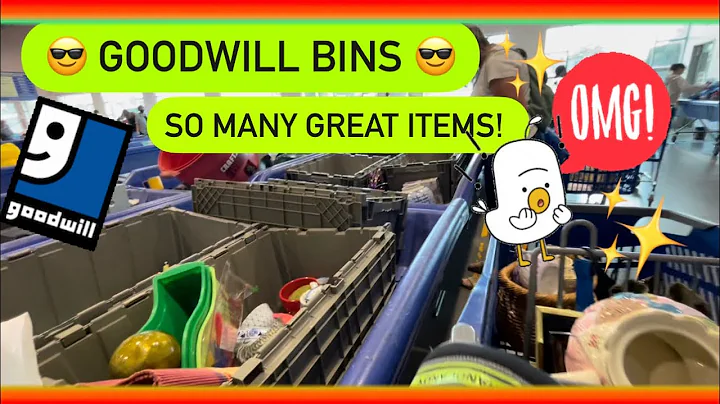 Let’s Go to Goodwill Bins! Come Digging With Me! Buying items for Resale On EBAY! ++ HAUL
