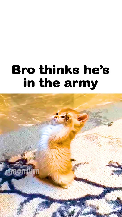 SIR YES SIR