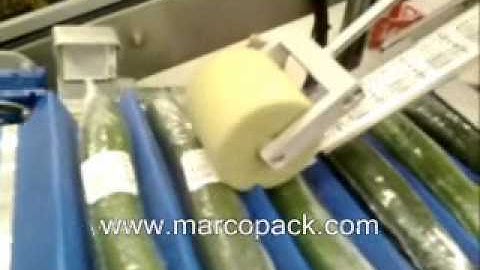 PRINT AND APPLY ON CUCUMBER