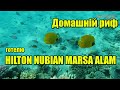 Домашній риф готелю HILTON NUBIAN MARSA ALAM | Феєрія Мандрів