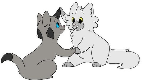 Unfinished Animations Dump