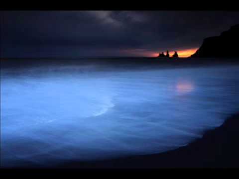 Audio Lotion -- Otonal