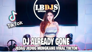 Download lagu DJ ALREADY GONE JEDAG JEDUG MENGKANE VIRAL TIKTOK 2022 mp3