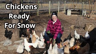 Snowy Chicken Care: Essential Tips for Preparing Your Flock for Winter Wonderland