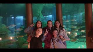 EXCURSIÓN A CORUÑA