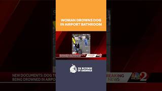 Woman Drowns Dog In Airport Bathroom