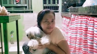 Manggo And Cha Cha