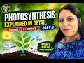 Photosynthesis Explained in detail | Easy, Fun & Never Forgettable | By Saili Mahenderkar