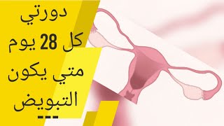 دورتي كل 28 يوم متى يكون التبويض | فتره التبويض بعد الدوره بكم يوم | ايام التبويض للحمل |ayam tabwid