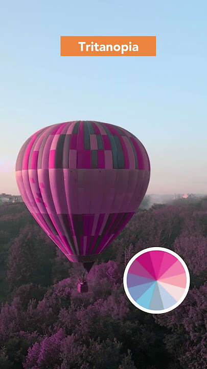 What Being Color Blind Looks Like