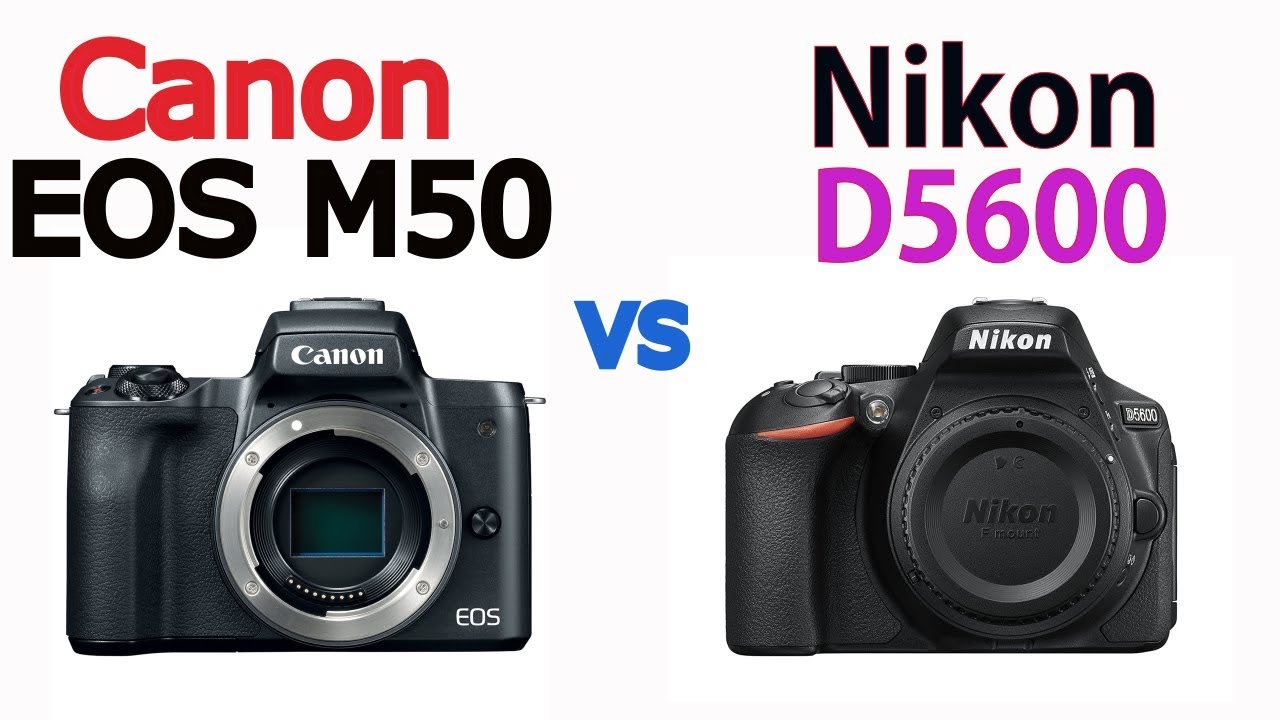 Canon nikon сравнение. Canon EOS 770d vs Nikon d5600. D50 Canon неисправности. Canon Lens Cup vs Nikon. Canon vs Nikon mem.