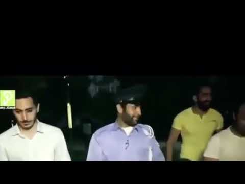 گوربه رو تو گونی میکنن
