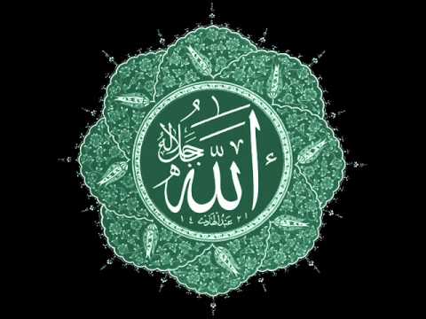 الشيخ سيد سعيد سورة السجدة 