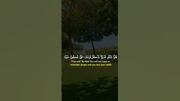 القرآن الكريم #القرآن_الكريم #المصحف #تلاوة_خاشعة