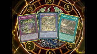Dark World 2026 Deck Profile (casual) Yu-Gi-Oh