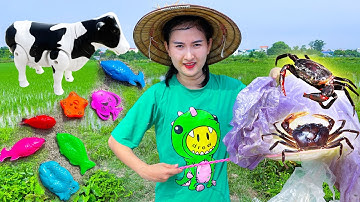 ChangCady xả rác và bài học vớt rác được con tôm, con cua, đồ chơi con bò