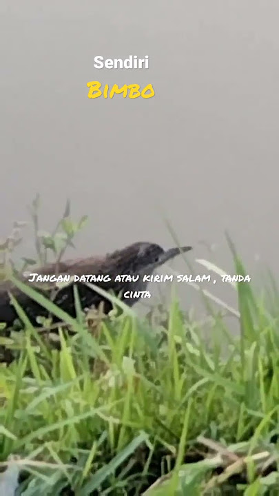 Sendiri - Bimbo #shorts#lagu #nostalgia #tembang #kenangan @Radiojaddoels