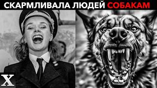видео: Скармливала людей овчаркам! “Карлица”- надзирательница | Полная история Иоганны Борман картинка: Скармливала людей овчаркам! “Карлица”- надзирательница | Полная история Иоганны Борман