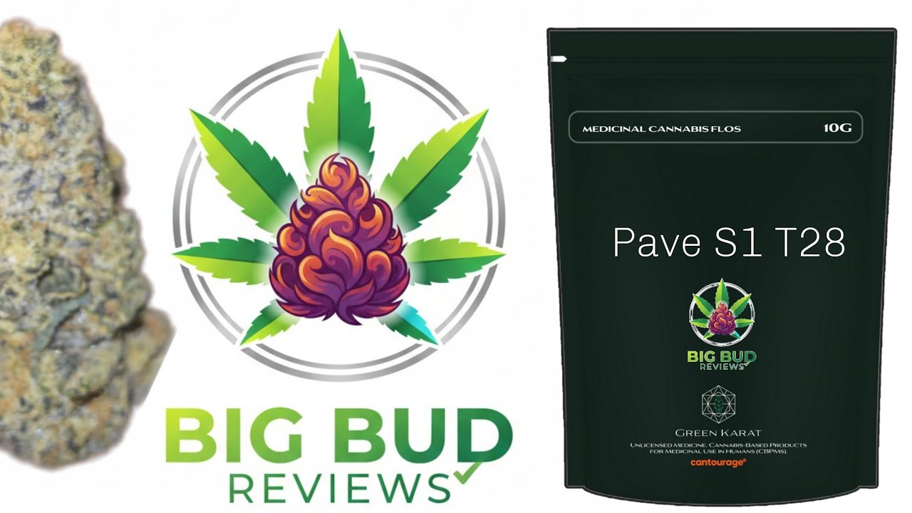 Pave S1 by Green Karat T28 💥🪴 Medical Review