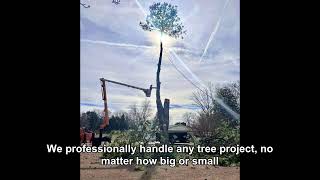 Matt Thomas Tree Service