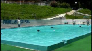 20100708@Hinuma