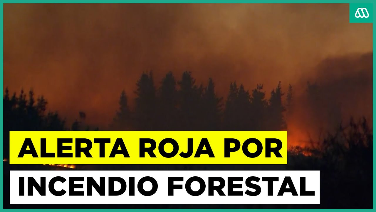 Alerta roja por incendio forestal en San Pedro: 1.667 hectáreas quemadas por siniestro