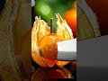 glass physalis fruit cut #aivideo #satisfying #experimnent #relaxing #experiements #relax