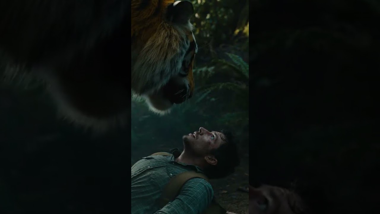 Deep Jungle Adventure 🌴🐅 | Wild Animals & Nature Exploration