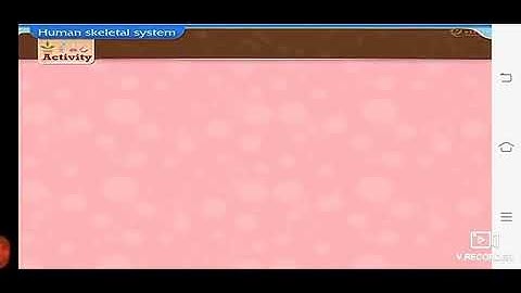 Class 6-8.Our Skeletal system and the Skin part 02