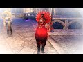 ESO: Bow or Staff PVP Range Nightblade Ganker? (Update 45) Xbox EU/NA