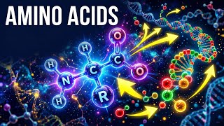 Amino Acids #aminoacidos #microbiology #biotechnology #biologicalcatalysts Amino Acids #aminoacidos #microbiology #biotechnology #biologicalcatalysts