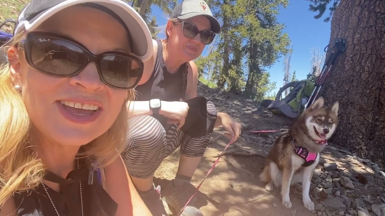 We Made it to the TOP of Griffith Peak Summit!