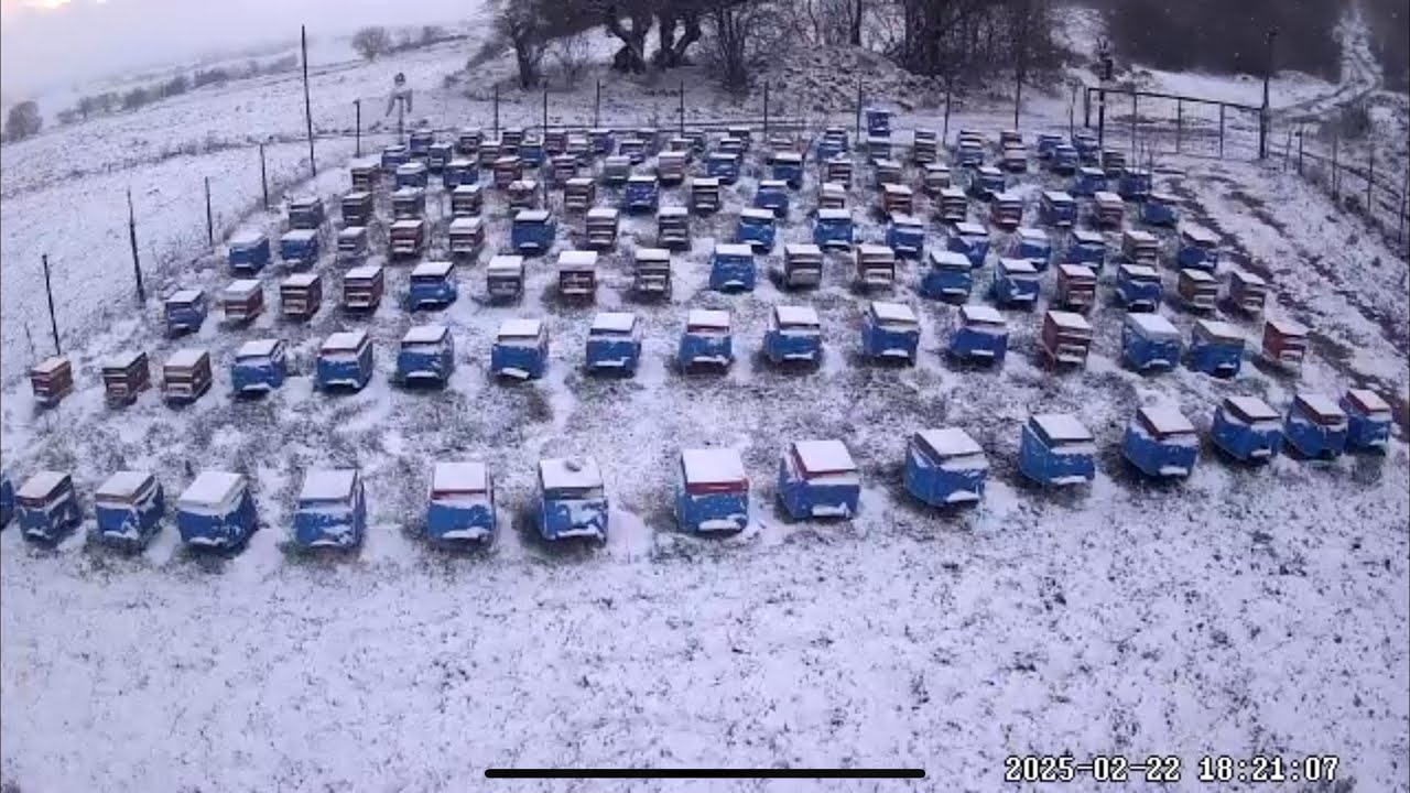 SÖNMEZ ARICILIKTA KAR MANZARALI KEYİF