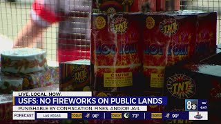 'You light it, we write it' effort to keep Las Vegas firework celebrations safe