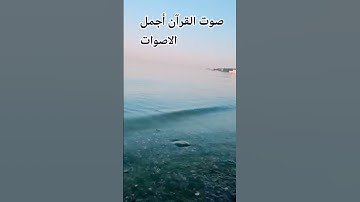 ♥️🤲قران كريم بصوت جميل للشيخ أدهم النابلسي ♥️ماتيسر من سورة الزمر ♥️ #المصحف #راحة_نفسية #الرحمن