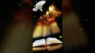 Sua Vida É Valiosa Ão É