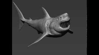Zbrush - Shark Turntable