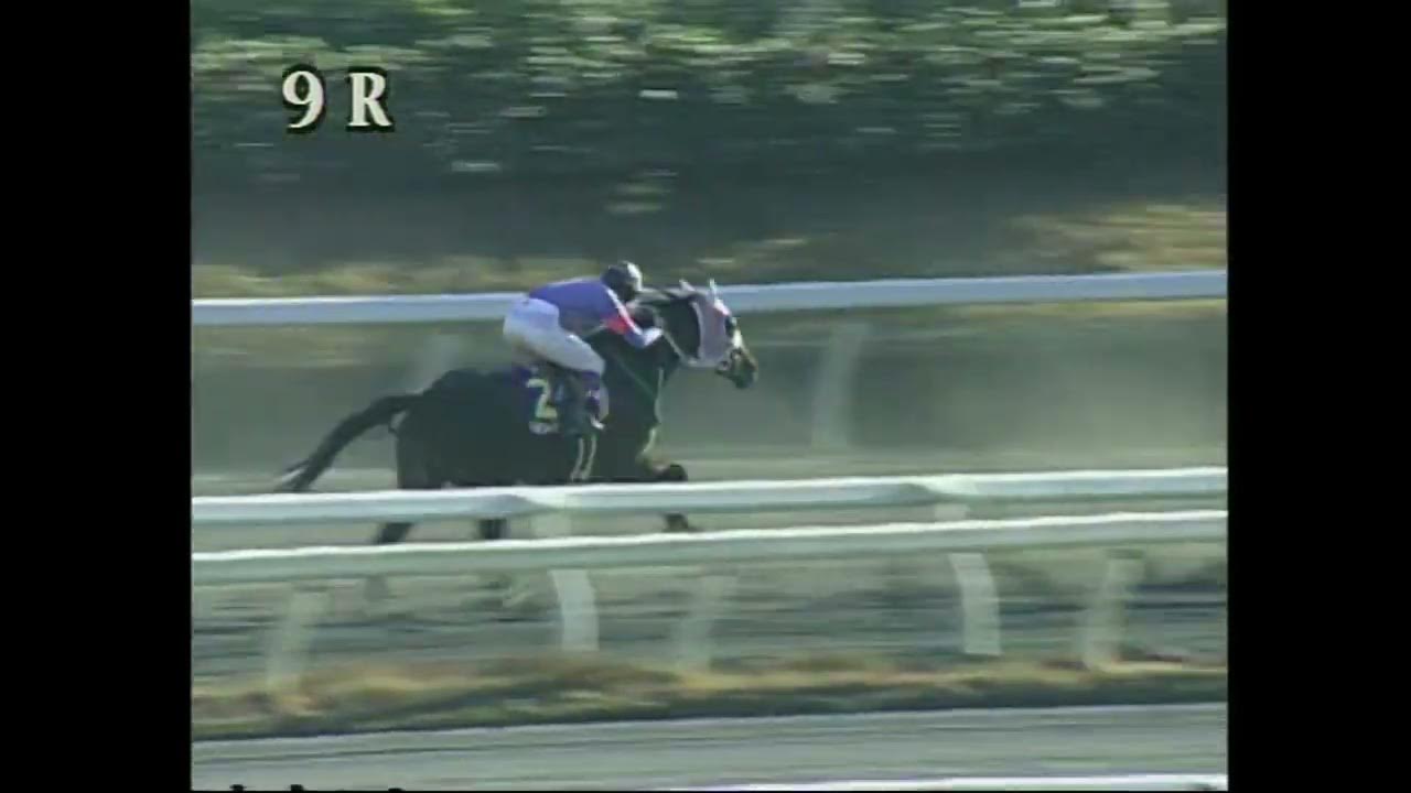 1999年12月23日 アラブ3歳優駿 第32回銀の鞍賞 YouTube